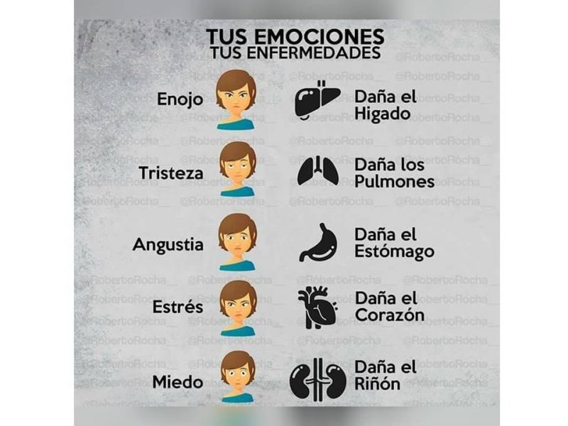 Las Emociones Afectan A Nuestra Salud. La Nueva Medicina De La ...